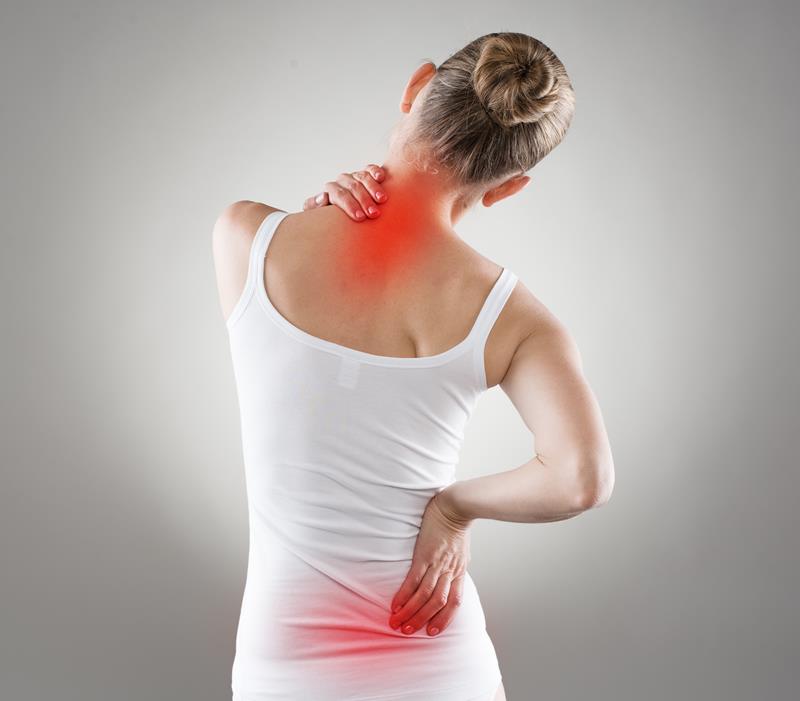 chiropractic services River Falls, WI